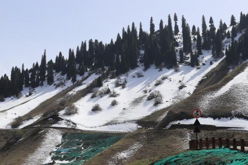 Snowy Ridge Pine Plains 24