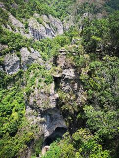 Green Wilderness and Tranquility 6