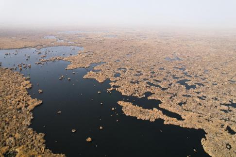 The vast expanse of reed marshes 4