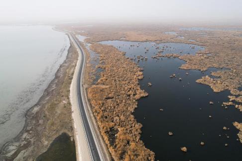 Ice Lake Reed Path Book 5