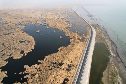 Ice Lake Reed Path Book 7