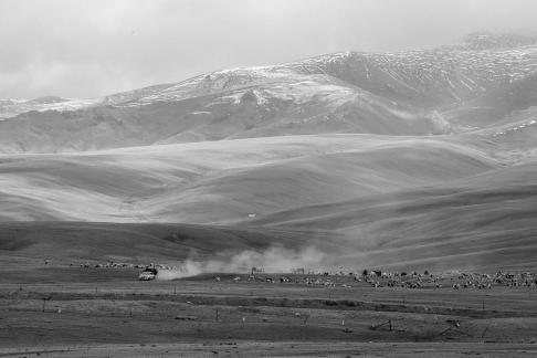 High mountain pasture 24