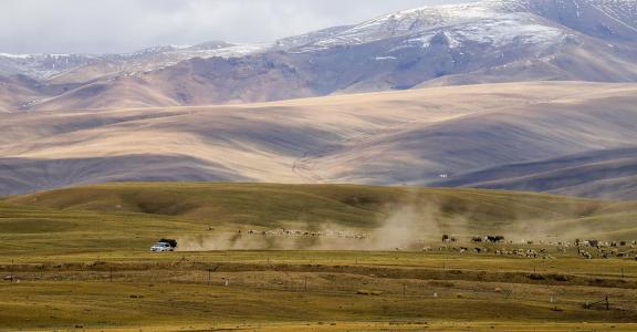 High mountain pasture 27