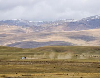 High mountain pasture 28