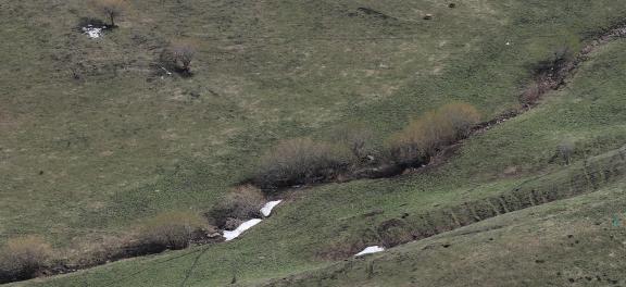 Winter Green Space 8