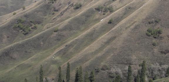 Winter Green Space 9