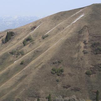 Winter Green Space 10