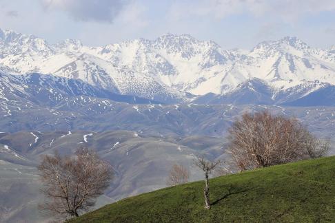 Empty field white painting 27