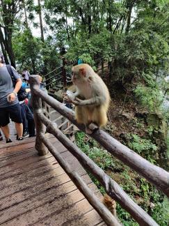 Encounter an elf by chance 3