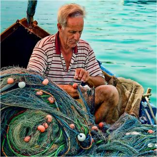 Mending the nets