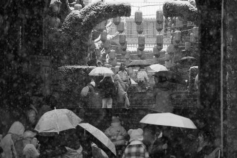 Snowflakes Dancing in the World 50