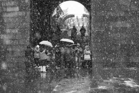Snowflakes Dancing in the World 52
