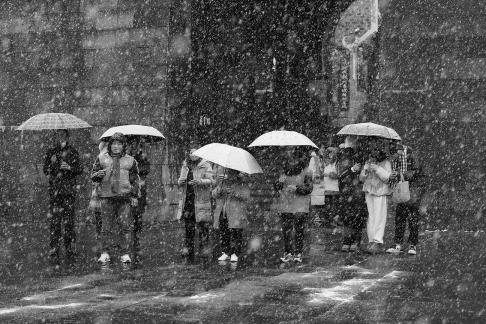 Snowflakes Dancing in the World 53