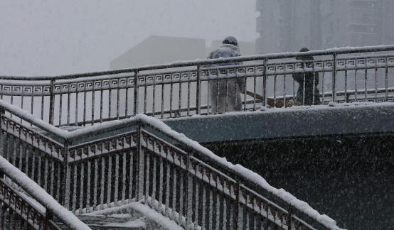 Snowflakes Dancing in the World 61