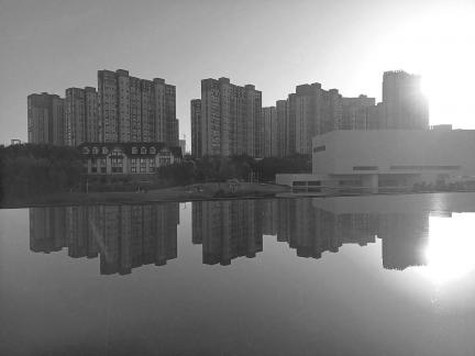 Urban microcosm 51