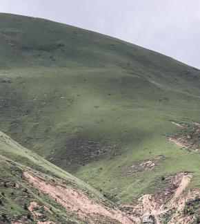 Green Mountain 10
