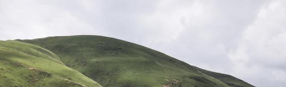 Green Mountain 11