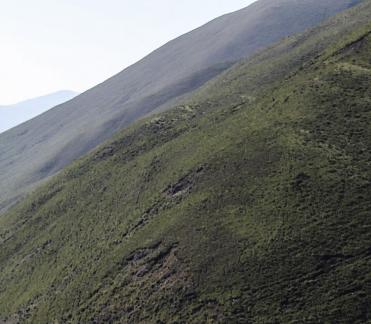 Green Mountain 12