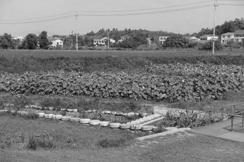 Green rural areas 1