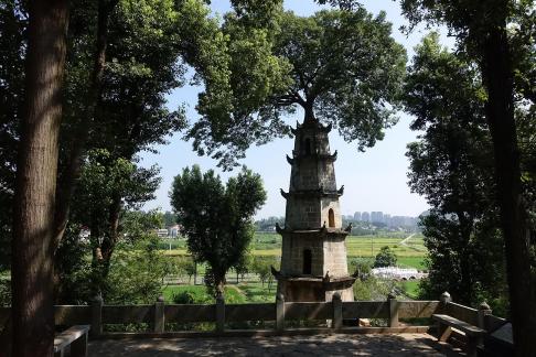 Tower and Tree 3
