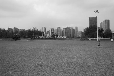 On the green grass 2