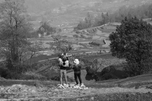 Terraced field scenery