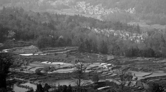 Terraced Fields Holy Scenery 25