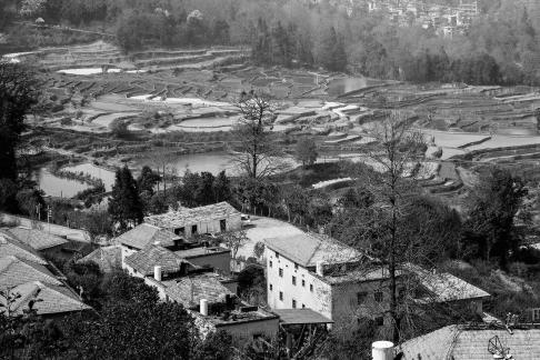 Terraced Fields Holy Scenery 26