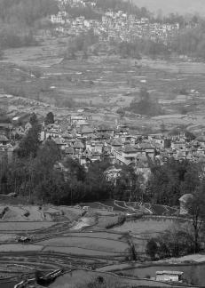 Terraced Fields Holy Scenery 27