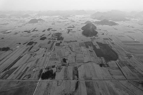 The Poetry of the Earth 79