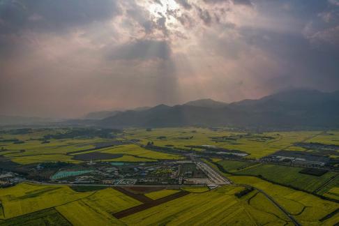The Poetry of the Earth 70