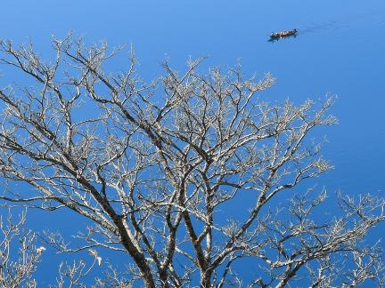 Reflecting on the Blue Sky 10