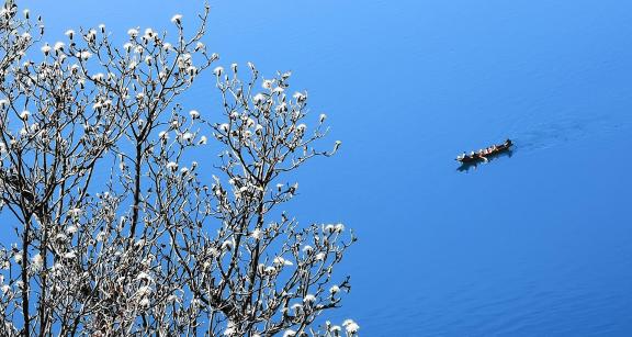 Reflecting on the Blue Sky 11
