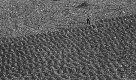 The longing of the earth 1