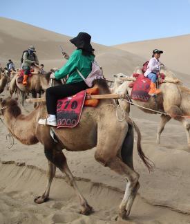 Desert Journey 57