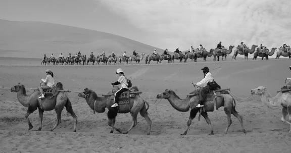 Desert Journey 61