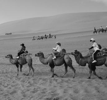 Desert Journey 63