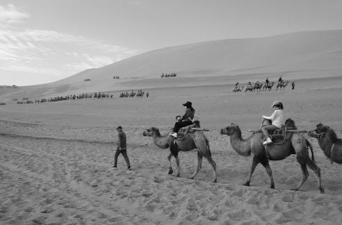 Desert Journey 64