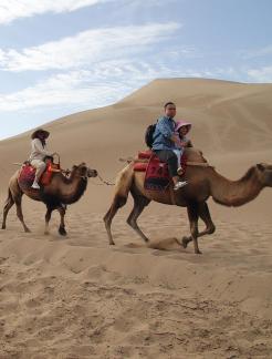 Desert Journey 53