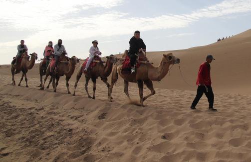 Desert Journey 54