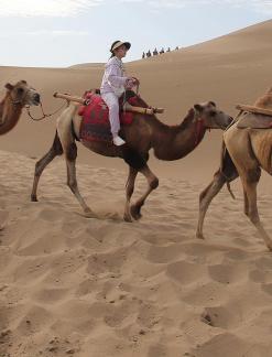 Desert Journey 55
