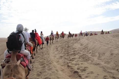 Desert Journey 56