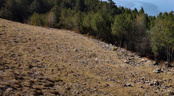 Chunshan once 2