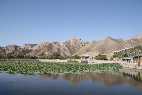 Western Xia Buddhist Kingdom 3