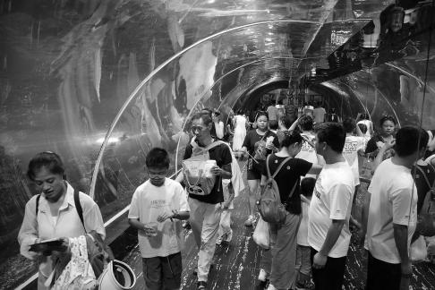 Aquarium Tour 46
