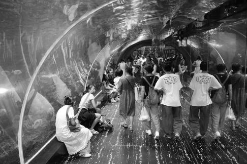 Aquarium Tour 47