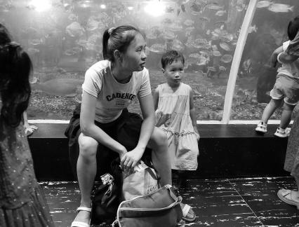 Aquarium Tour 48