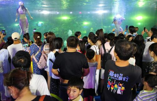 Aquarium Tour 36