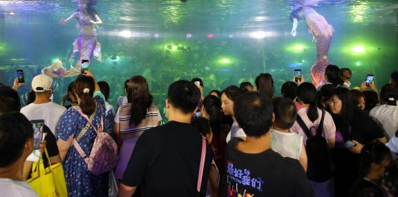Aquarium Tour 37