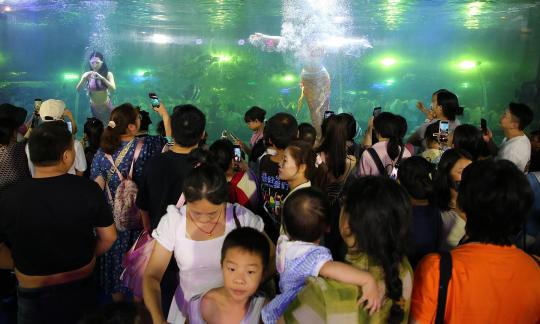 Aquarium Tour 39